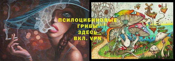 амф Балахна