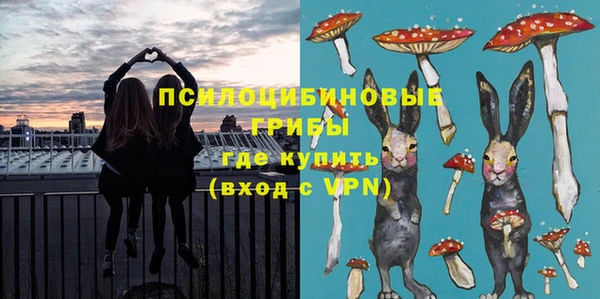 сатива Балабаново