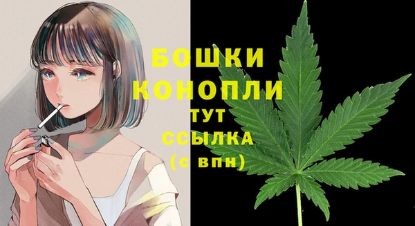 сатива Балабаново