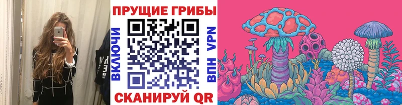 Псилоцибиновые грибы Psilocybe Олёкминск